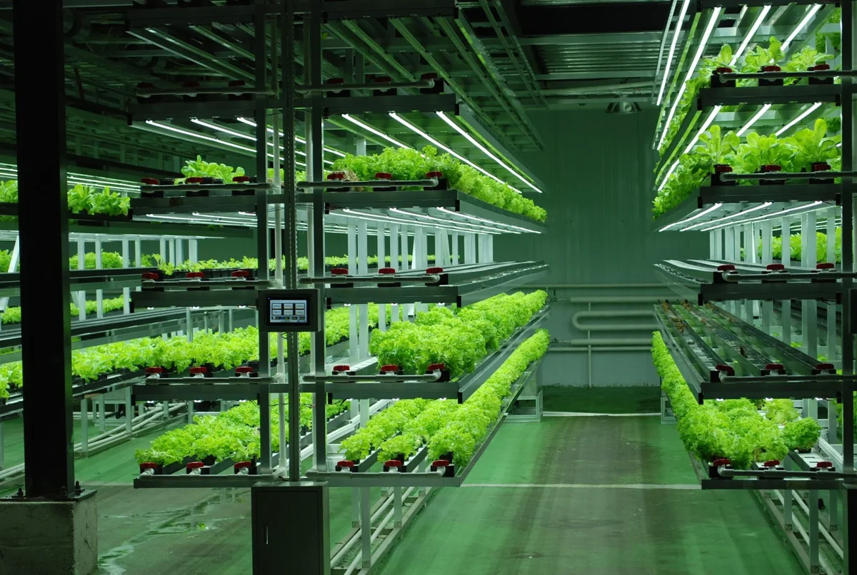 Green Mars, design strategy