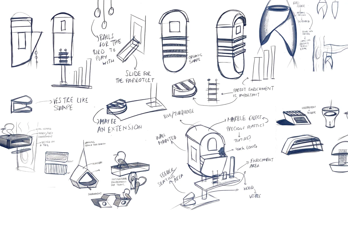 The Parrot Place, ideation